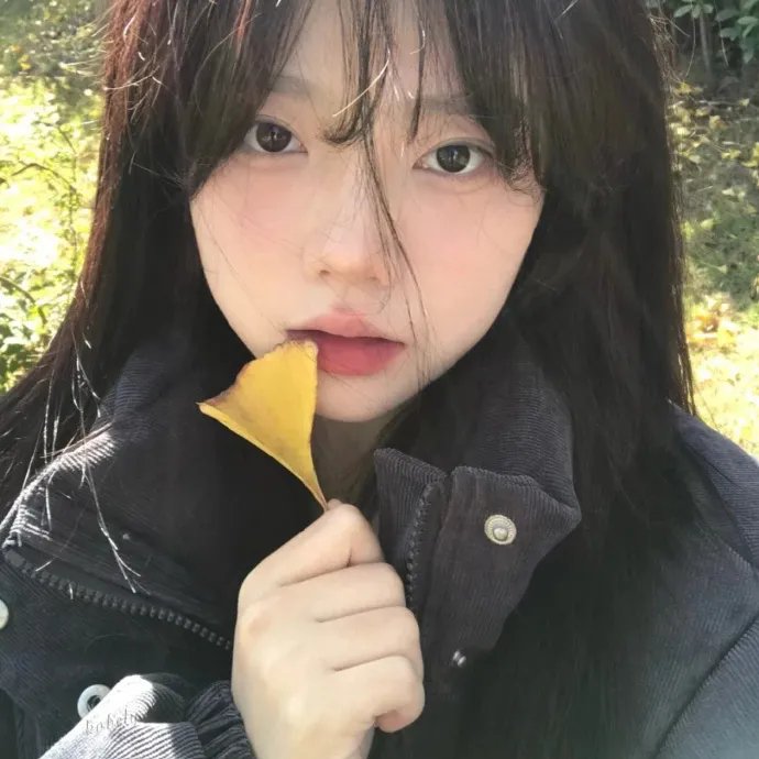 拳语者封面
